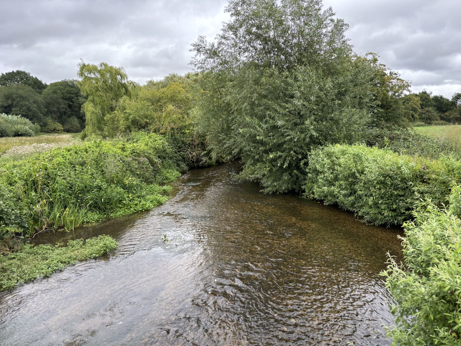 The River Lea